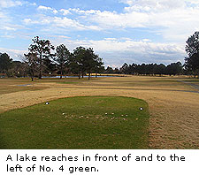Quiet Pines 