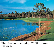 The Raven