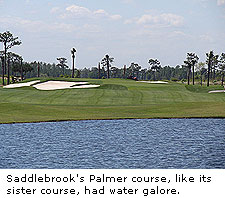 Saddlebrook's Palmer Course