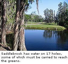Saddlebrook Course