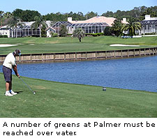 Saddlebrook's Palmer Course