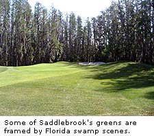 Saddlebrook Course