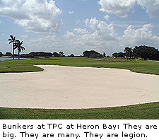 Bunkers at TPC at Heron Bay