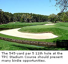 TPC Stadium Course
