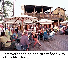 Hammerheads