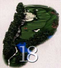 King/Bear #18