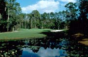 Palm Coast Resort