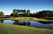 Palm Coast Resort