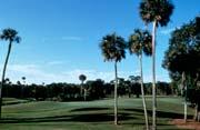 Palm Coast Resort