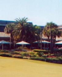 Saddlebrook Resort and Spa