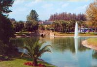 Saddlebrook Resort and Spa