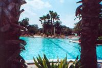 Saddlebrook Resort and Spa