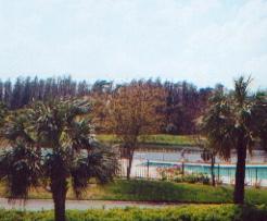 Saddlebrook Resort and Spa